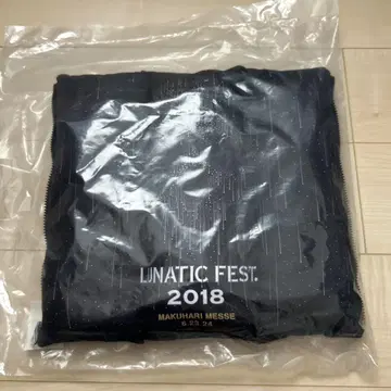 LUNATIC FEST 2018 루나페스 VIP 쿠션