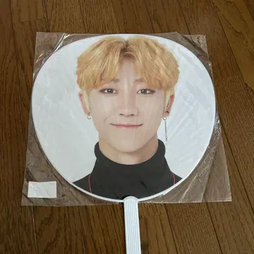 SEVENTEEN THE8 SVT 부채
