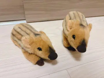 kosen 멧돼지 봉제 인형 kosen