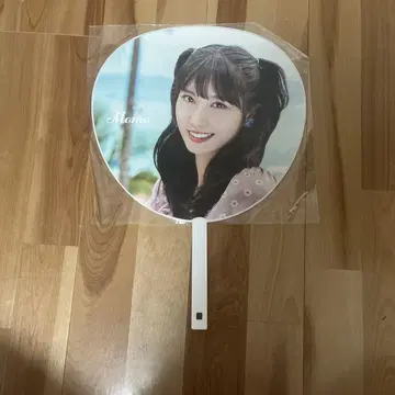 Momo 부채 Twice's Shop