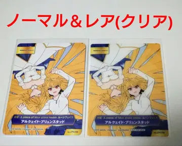 애니메이트 TYPE-MOON 페어 특전 카드 노멀 레어 알퀘이드
