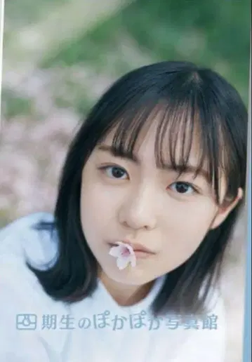 히나타자카46 포카포카 사진관 쇼겐지 요코