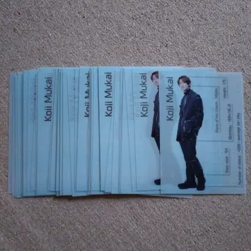 무카이 코지 SnowMan Snow Labo.02 특전 클리어 포스터