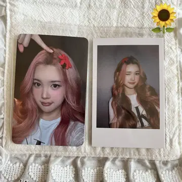 Hearts2Hearts 에이나 트레이딩 카드 ktown4u k4
