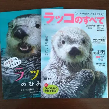 해달의 모든 것, 해달의 비밀