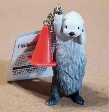 미에현 도바 수족관 랏코 메이 짱 키링 도바스이