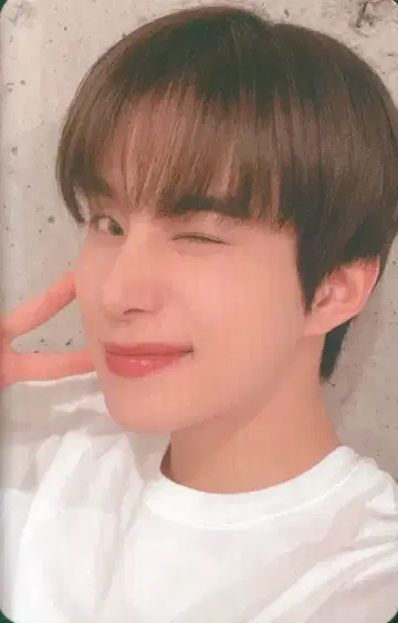 JUNGWOO 트레이딩 카드 A
