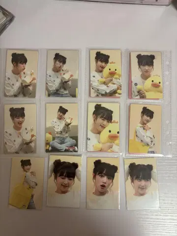 예나 동물 탐정 트레이딩 카드 묶음 판매