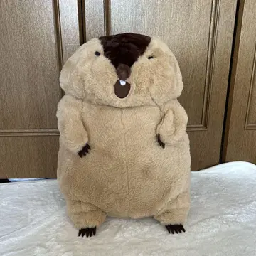 마모트의 못톳토 모아