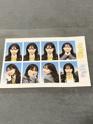 메루푸치 히나타 증명사진풍