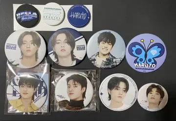 treasure 하루토 캔뱃지 세트 11개