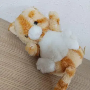 퍼스트사 장난 천사 고양이 봉제 인형