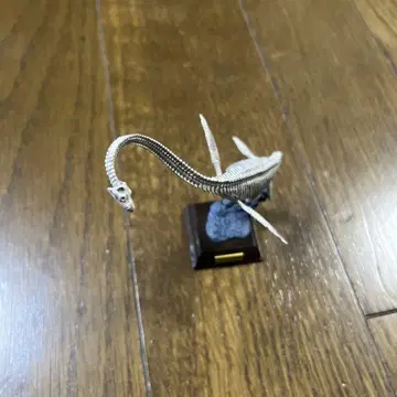 네이처 테크니컬러 고생물 후타바스즈키류