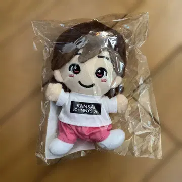 미치에다 슌스케 치비누이