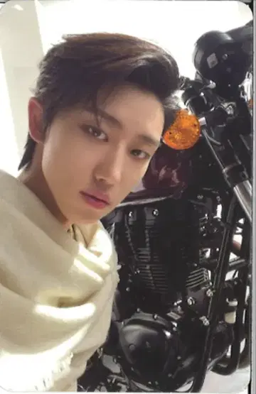 SEVENTEEN FACE THE SUN THE8 트레이딩 카드