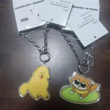미사용 마메키치마메코 참