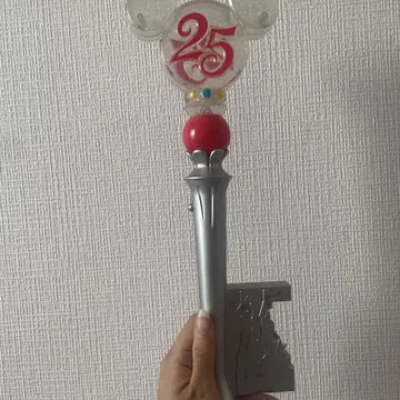 디즈니랜드 25주년 키