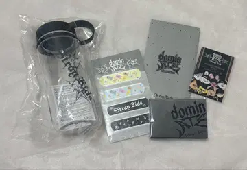 straykids 스키즈 업그레 혜택 에코파 스타디움
