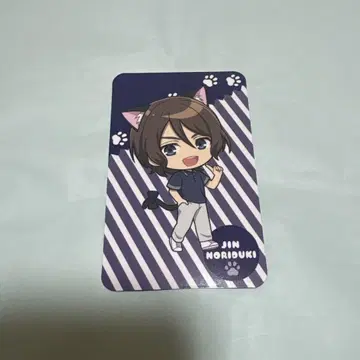프리즘 냥코 호즈키 진