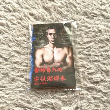 RIZIN DECADE 번외지 선수 카드