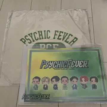 PSYCHIC FEVER 토트백 경질 케이스