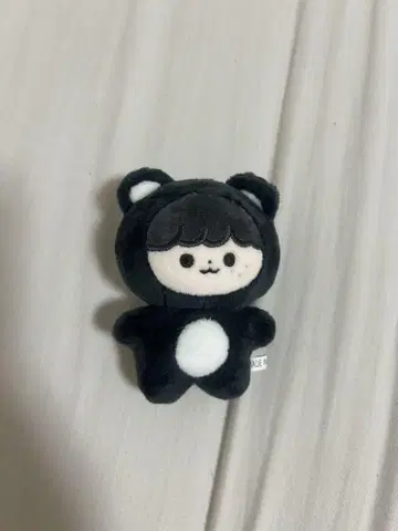 NCTDREAM 해찬 곰혁이 마스터 봉제 인형