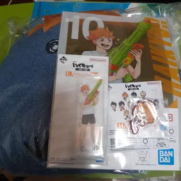 하이큐!! 제일복권 히나타 쇼요