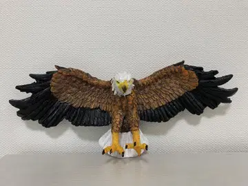 흰머리수리 피규어