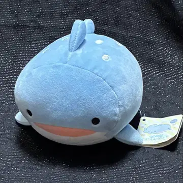 새상품 택 포함 코로코로 수족관 진베이 상어 모찌후와