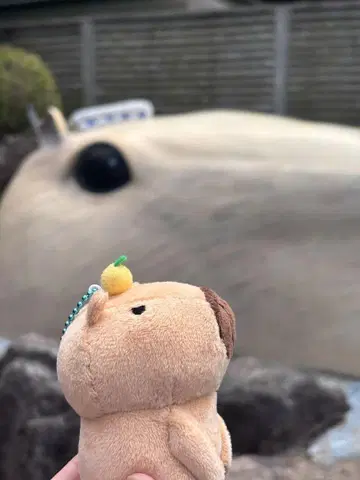 베이지 과일 장식 봉제 인형