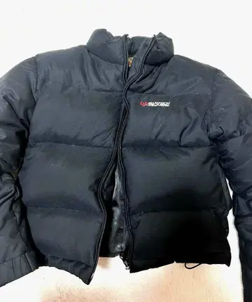 다운 AVIREX