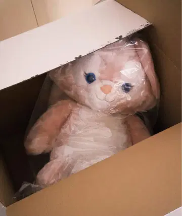 상하이 디즈니 한정 리나벨 봉제 인형 L 사이즈