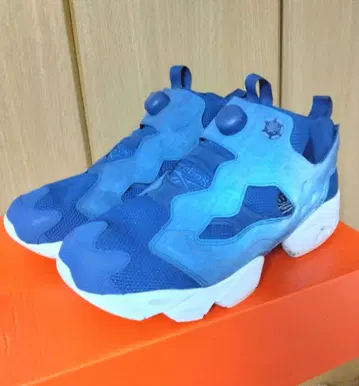 Reebok 리복 인스타펌프 퓨리