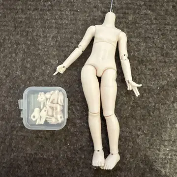 인형 바디 핸드 파츠 포함 아미 2.0 크림색 복근