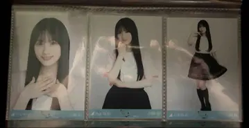 카와사키 사쿠라 카가와 라이브 t 컴프