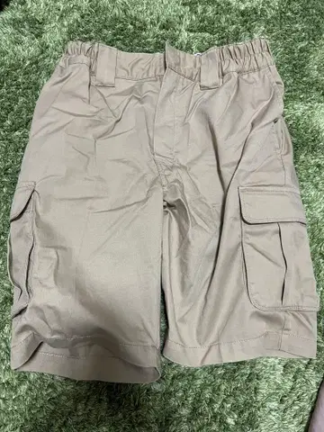 Dickies 카고 숏팬츠