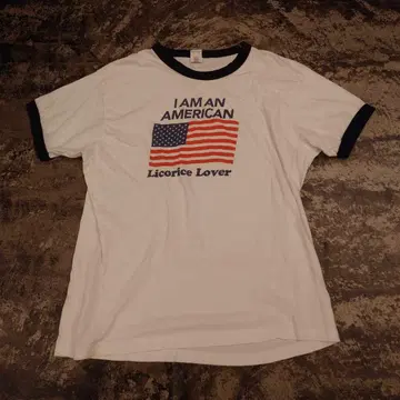 GILDAN Heavy Cotton 링거 티셔츠 4480
