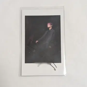 아라키 폴라로이드풍 컬렉션 사인