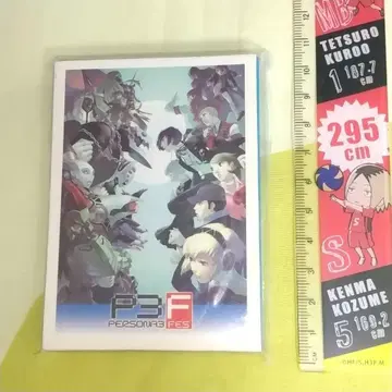 PS3 페르소나 3 페스 보이스 카드 아라가키 신지로 사나다 아키히코