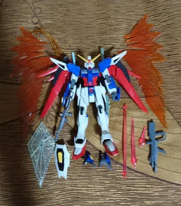 HG 1/144 ZGMF-X42S 데스티니 건담 (구 HG)