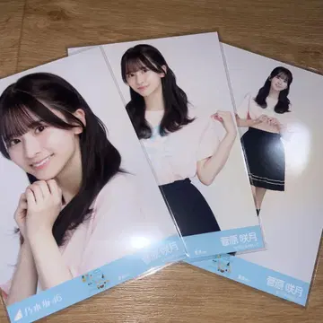 노기자카 브로마이드 스가와라 사츠키 라이브 티셔츠 카가와 컴프