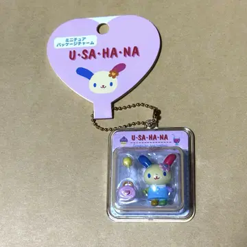 산리오 미니어처 패키지 참 우사하나