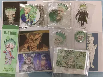 Dr. STONE 센쿠 캔뱃지, 아크릴 스탠드 외 11점