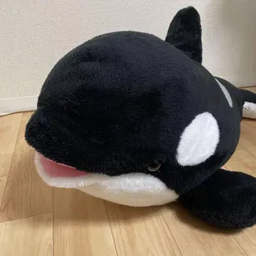샤치 봉제 인형 복권 1등