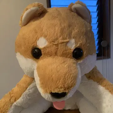 흐물흐물 시바견 일본 맑음 BIG 봉제인형 50cm
