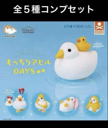 보들보들 오리 DAYS 전 5종 컴플리트 세트
