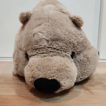 땅딸이 원피 웜뱃 BIG 봉제 인형