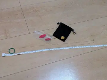 *새상품 미사용* KAORU 롱 목걸이
