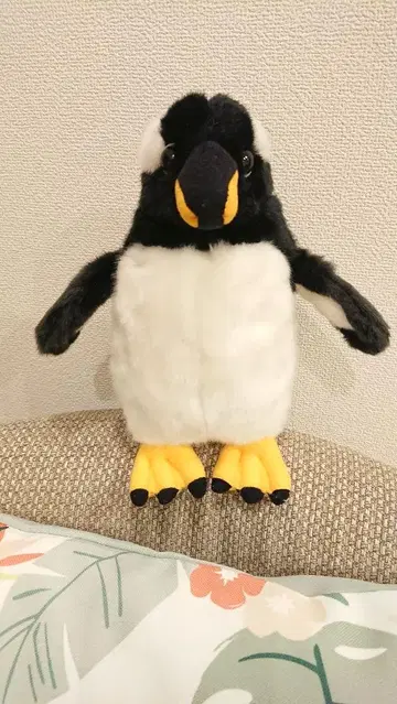 펭귄 봉제 인형 중형