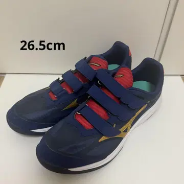 MIZUNO 미즈노 웨이브 라이트 레보란 엘리트 업 신발